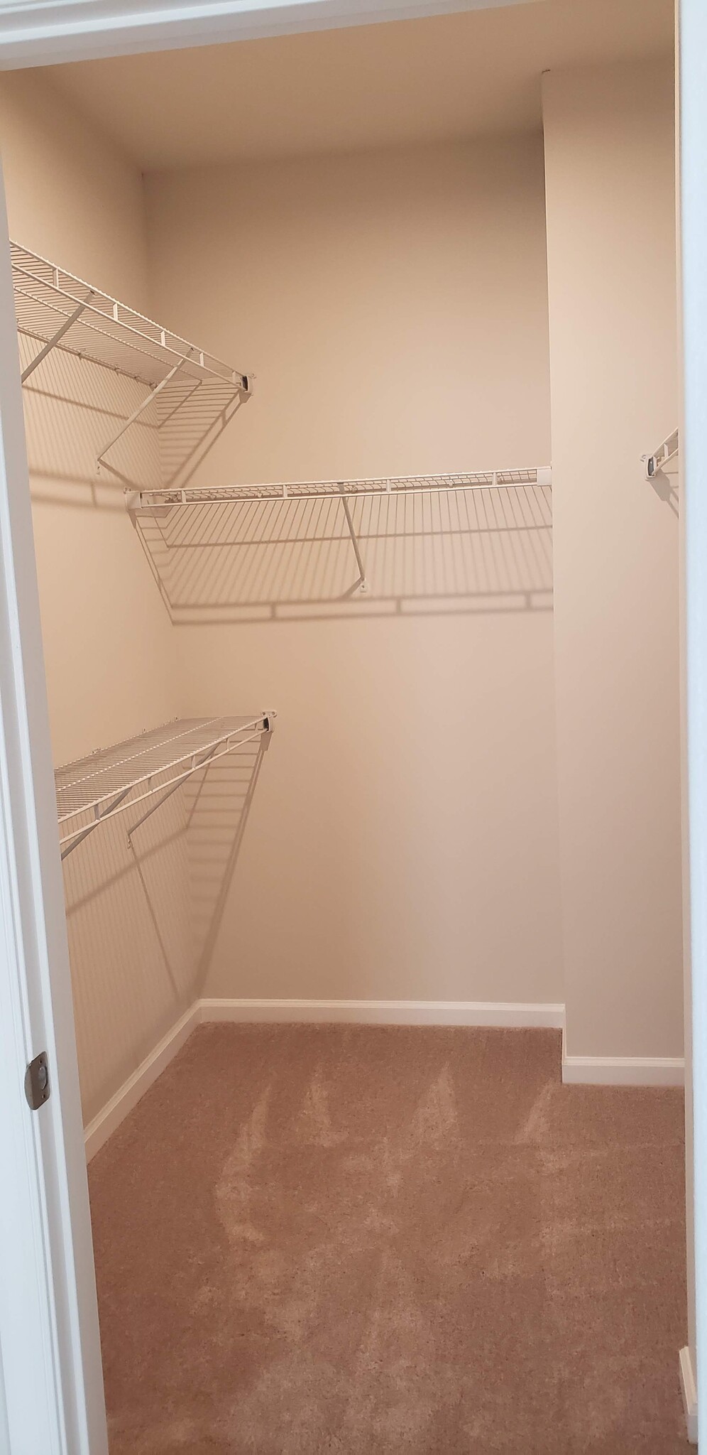 walk in closet - 3001 Olivetre Dr