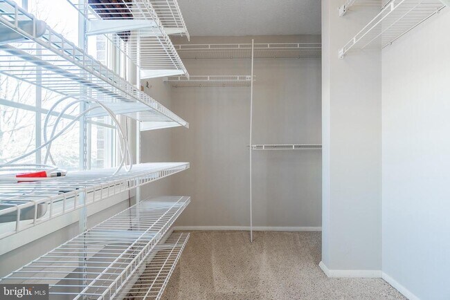 Building Photo - 2911 Montauk Ct