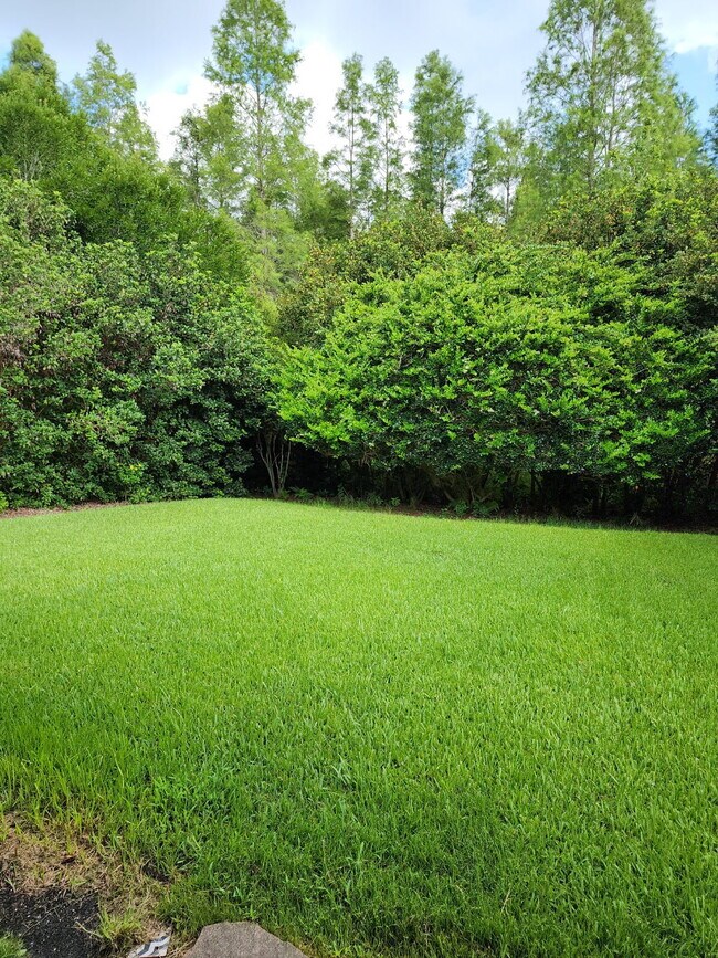 Building Photo - 8505 Lagerfeld Dr