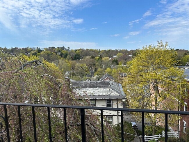 Building Photo - 303 Tappan St