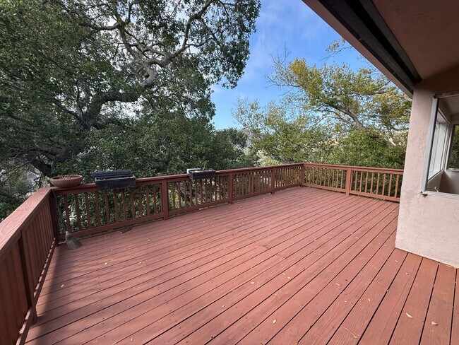 Building Photo - UNIQUE THREE BEDROOM TWO BATH MODERNIST MILL VALLEY HOME