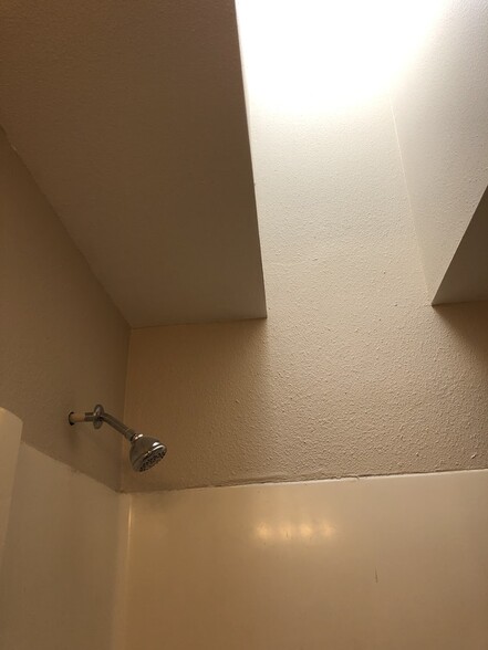 Bathroom feature natural skylights - 219 E 36th St