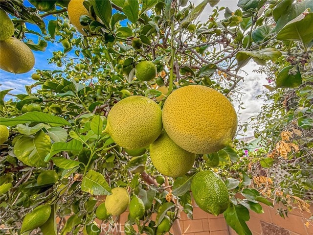 Building Photo - 2136 Denny St