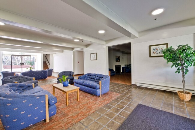 Building Photo - Beautiful and Spacious 1BR 1BA Condo in Pa...