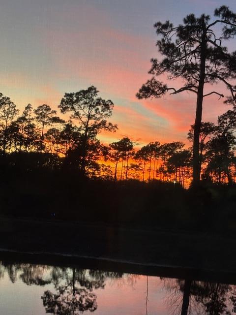 Building Photo - 176 Arazzo Wy