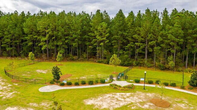 Building Photo - 342 Tiliwa St