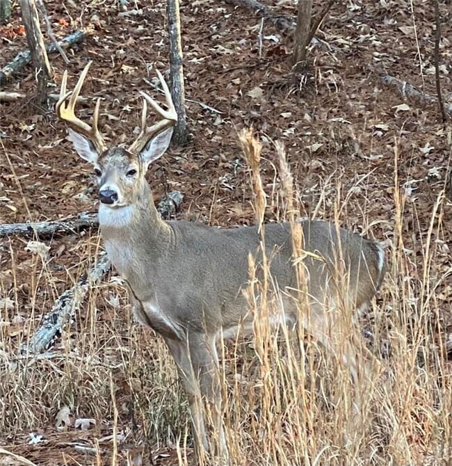 Building Photo - 121 Moose Loop