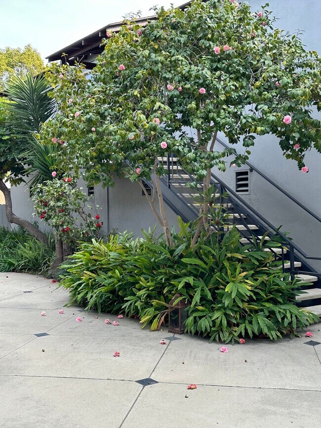 Building Photo - 3981 Falcon St