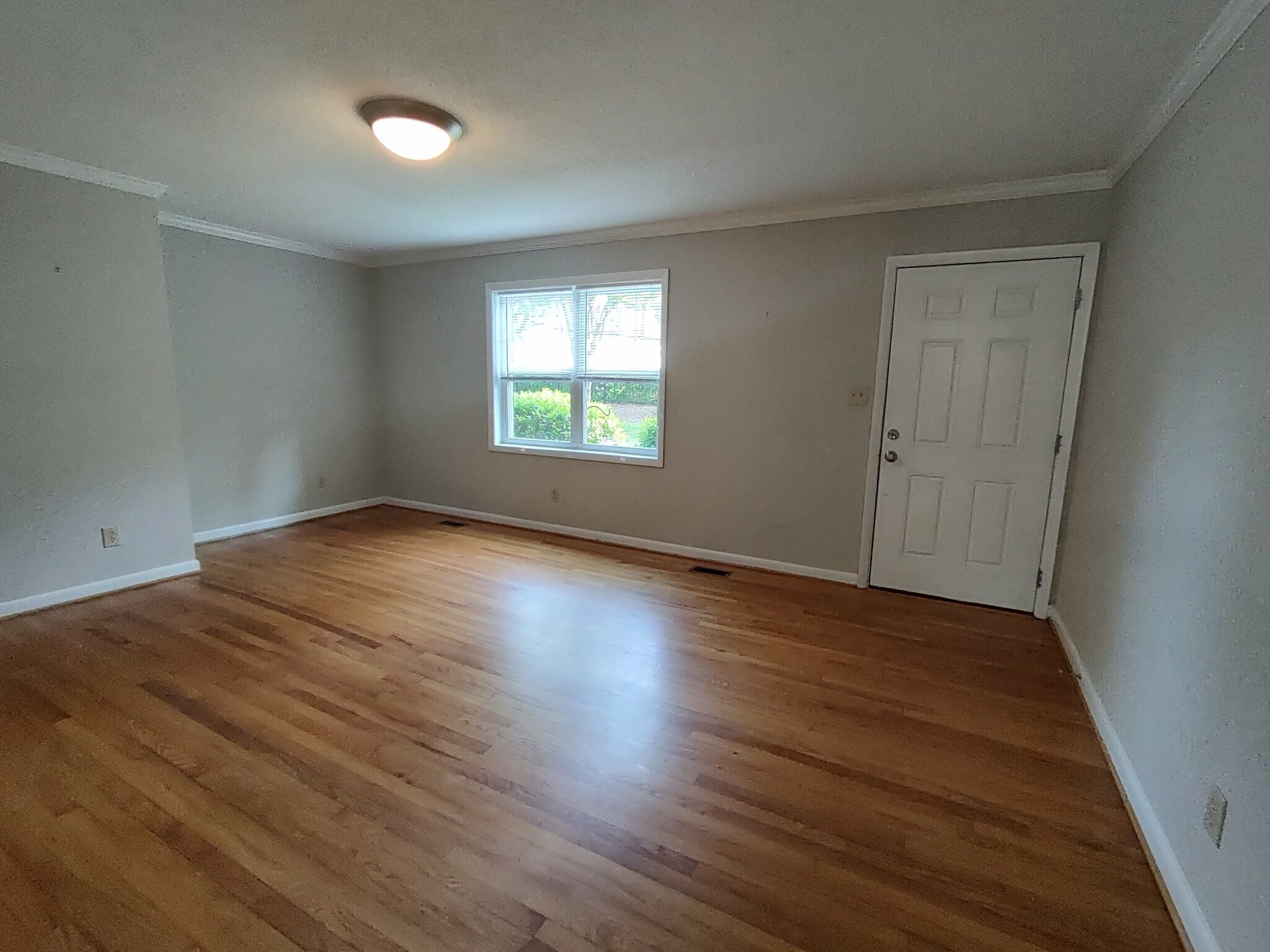 Building Photo - 908 Athens Dr