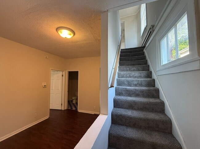Building Photo - 536A Euclid Ave – Available Fall 2026