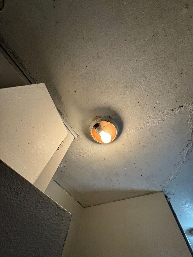 Building Photo - La Habra Duplex