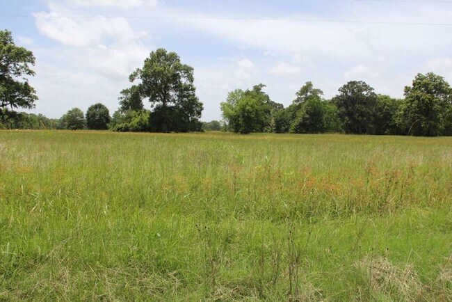 Building Photo - 176 Wood Fern Dr