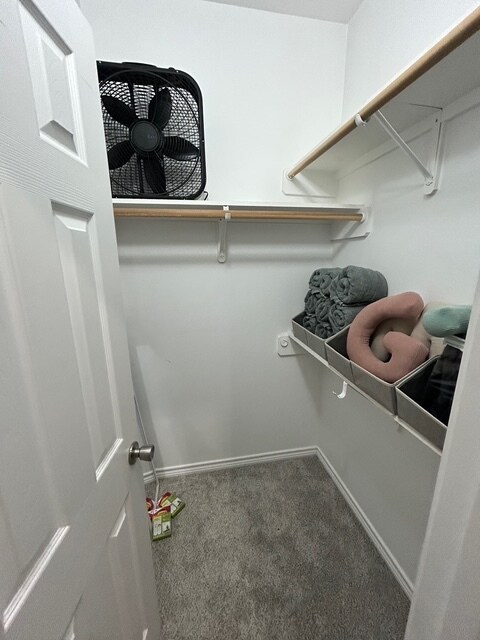 Building Photo - 735 Meadow Ln