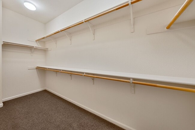 Building Photo - 2815 Tourbrook Way