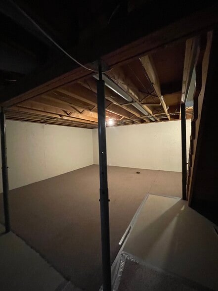 Basement - 1409 Wiesner St