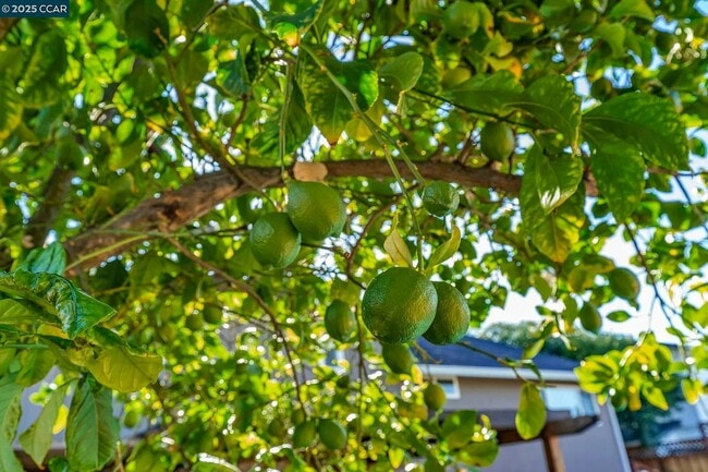 Building Photo - 648 Brookfield Dr