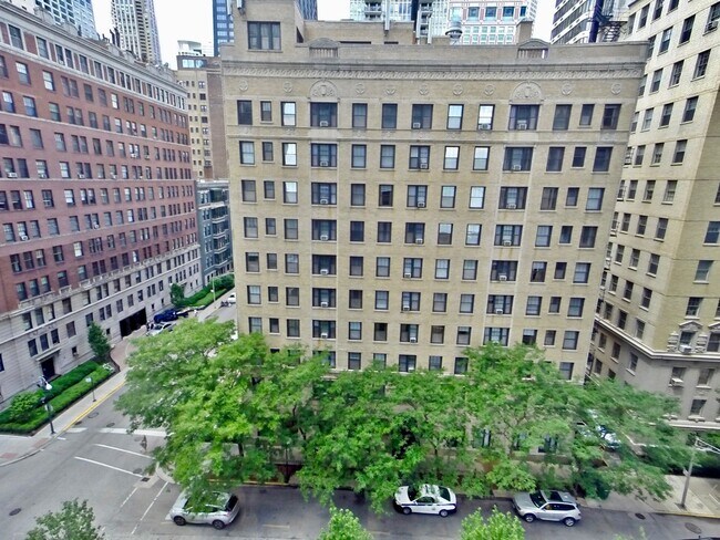 Building Photo - 900 N Lake Shore Dr