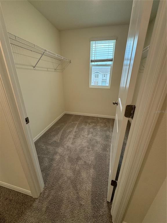 Building Photo - 371 Preston Cv Dr