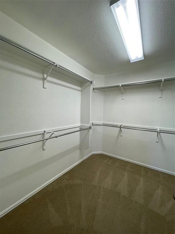Building Photo - 208 Spruce Dr