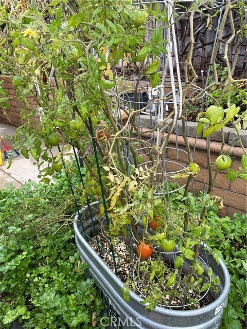 Building Photo - 29219 Woodbridge Dr