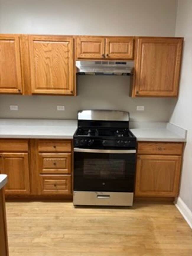 Building Photo - Wrigley Field Just A Mile Away - One Bedroom