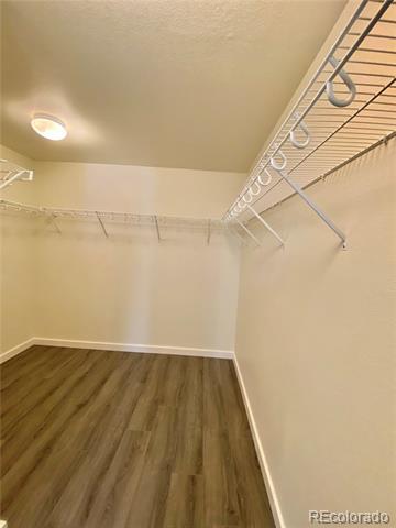 Building Photo - 5731 Raleigh Cir