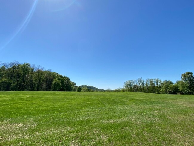 Building Photo - Bright & Breezy 3BR Ranch Ulster Park