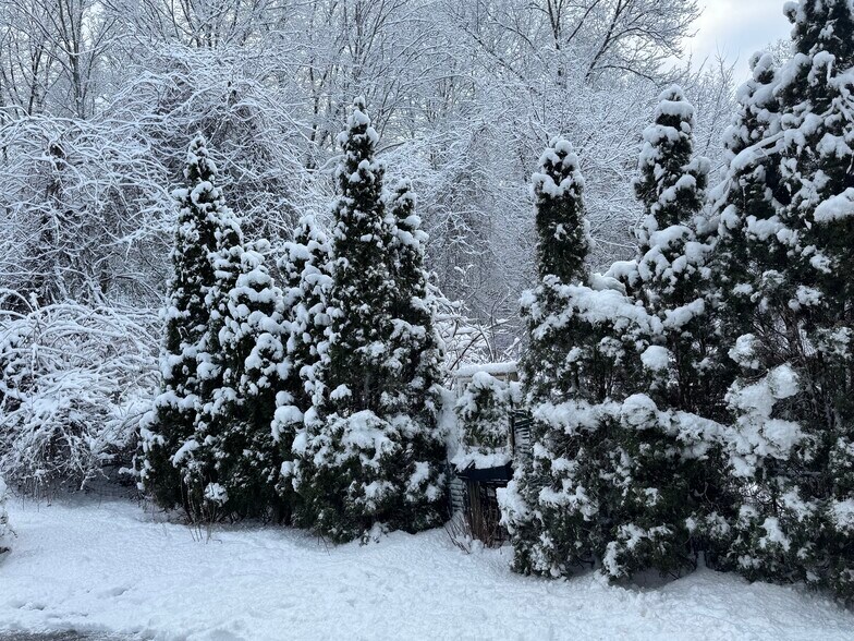 Building Photo - 81 Wiese Albert Rd