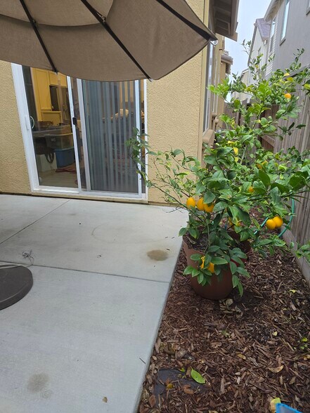 Building Photo - 1826 Yellowwood Ave