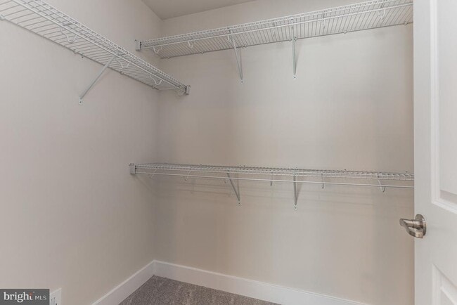 Building Photo - 8039 Blue Stream Dr