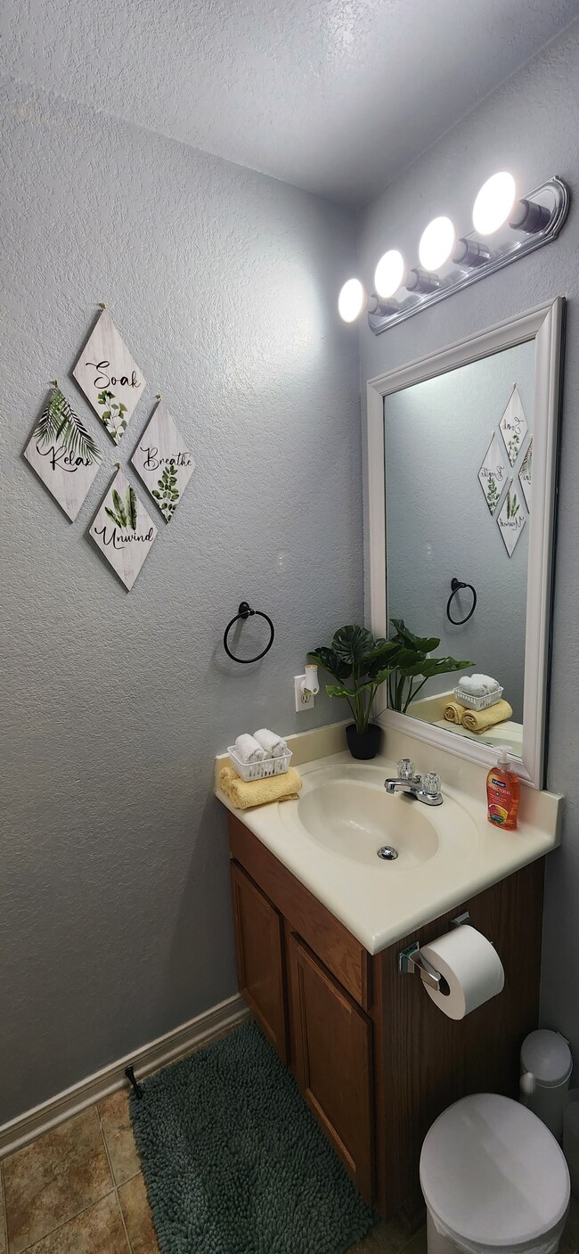 Master Bath vanity area - 2313 Terrace Dr