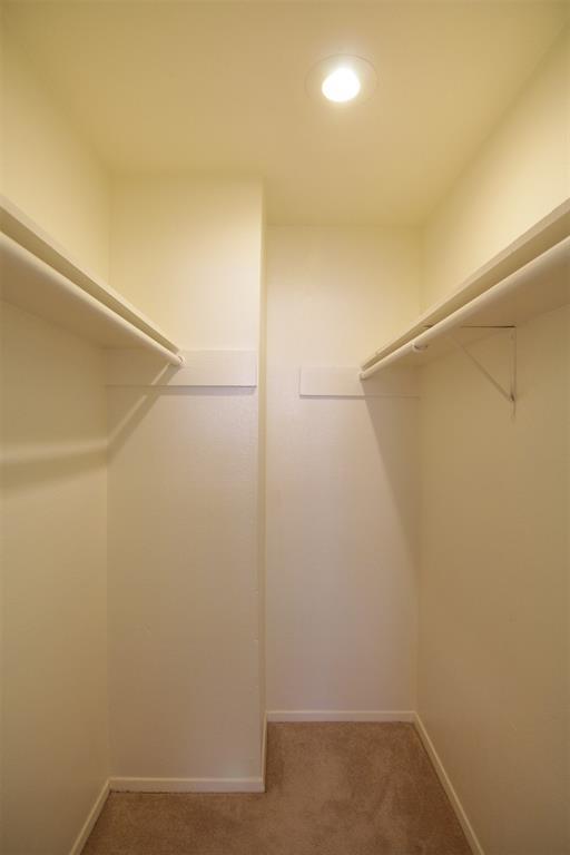 Building Photo - 10555 Turtlewood Ct