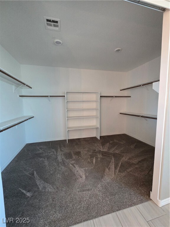 Building Photo - 10486 Mount Mitchell Ct