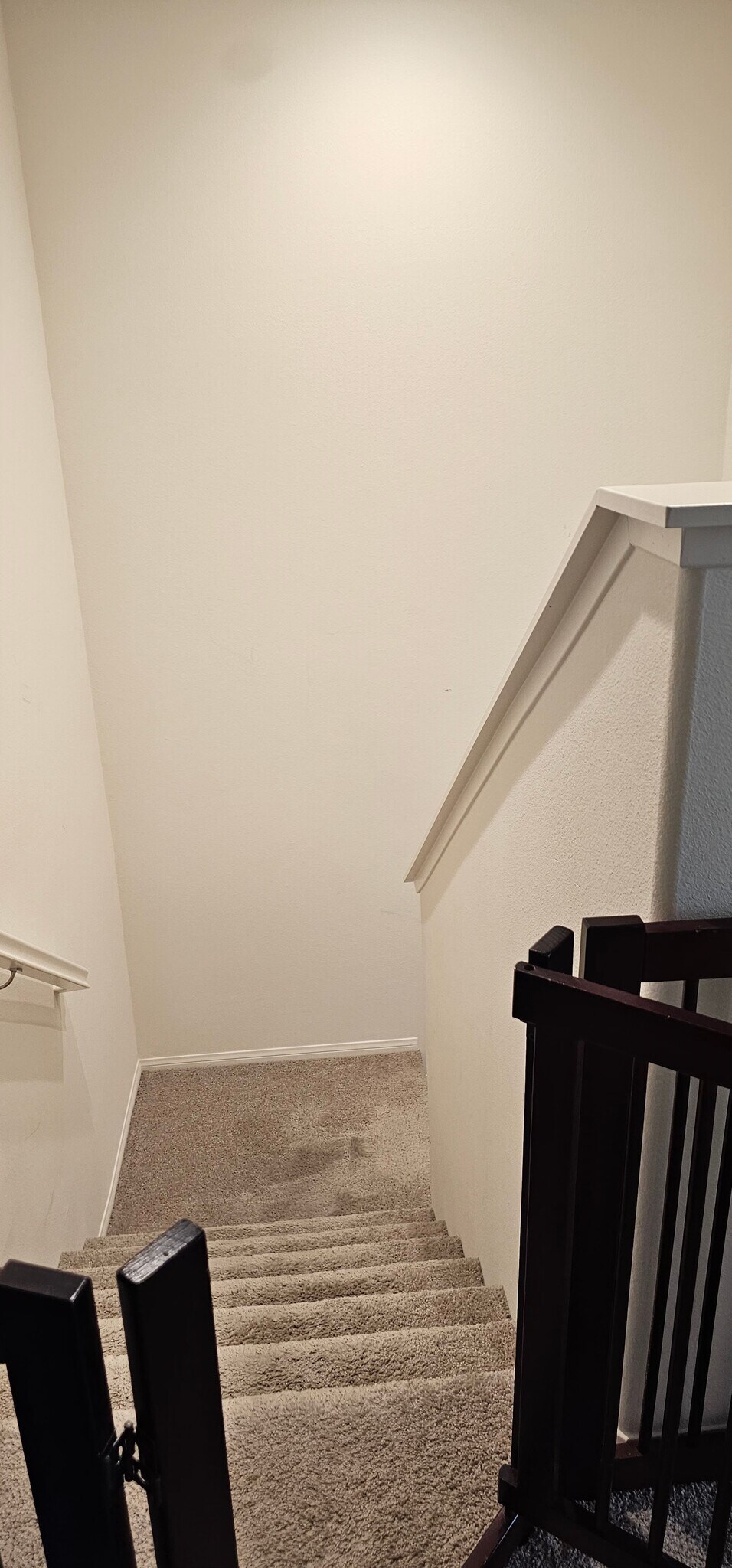 Stairs - 11386 Dunhaven Way