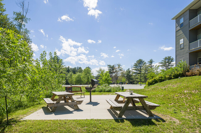 Building Photo - Catamount Ridge