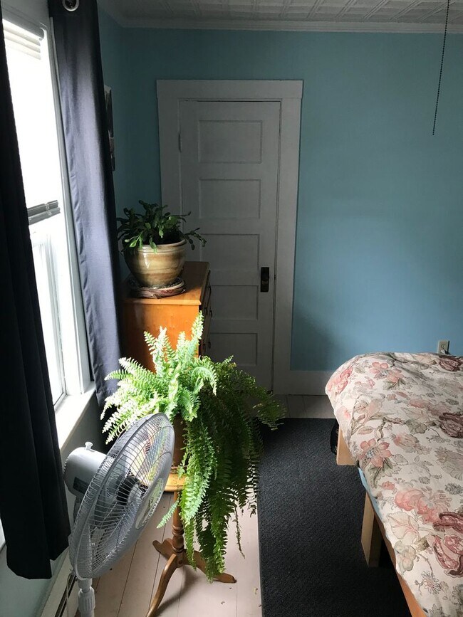 Building Photo - Paluska