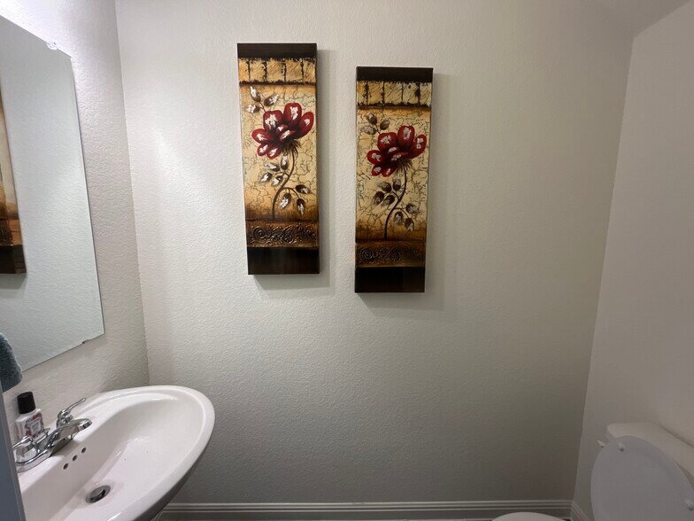 Powder room downstairs - 119 Aoudad Rd