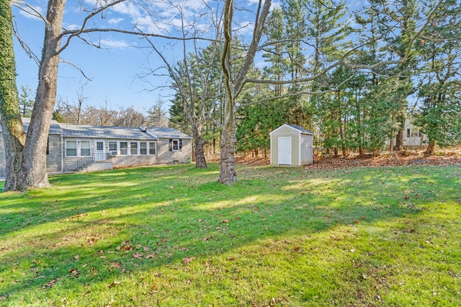 Backyard - 27 Hillcrest Rd