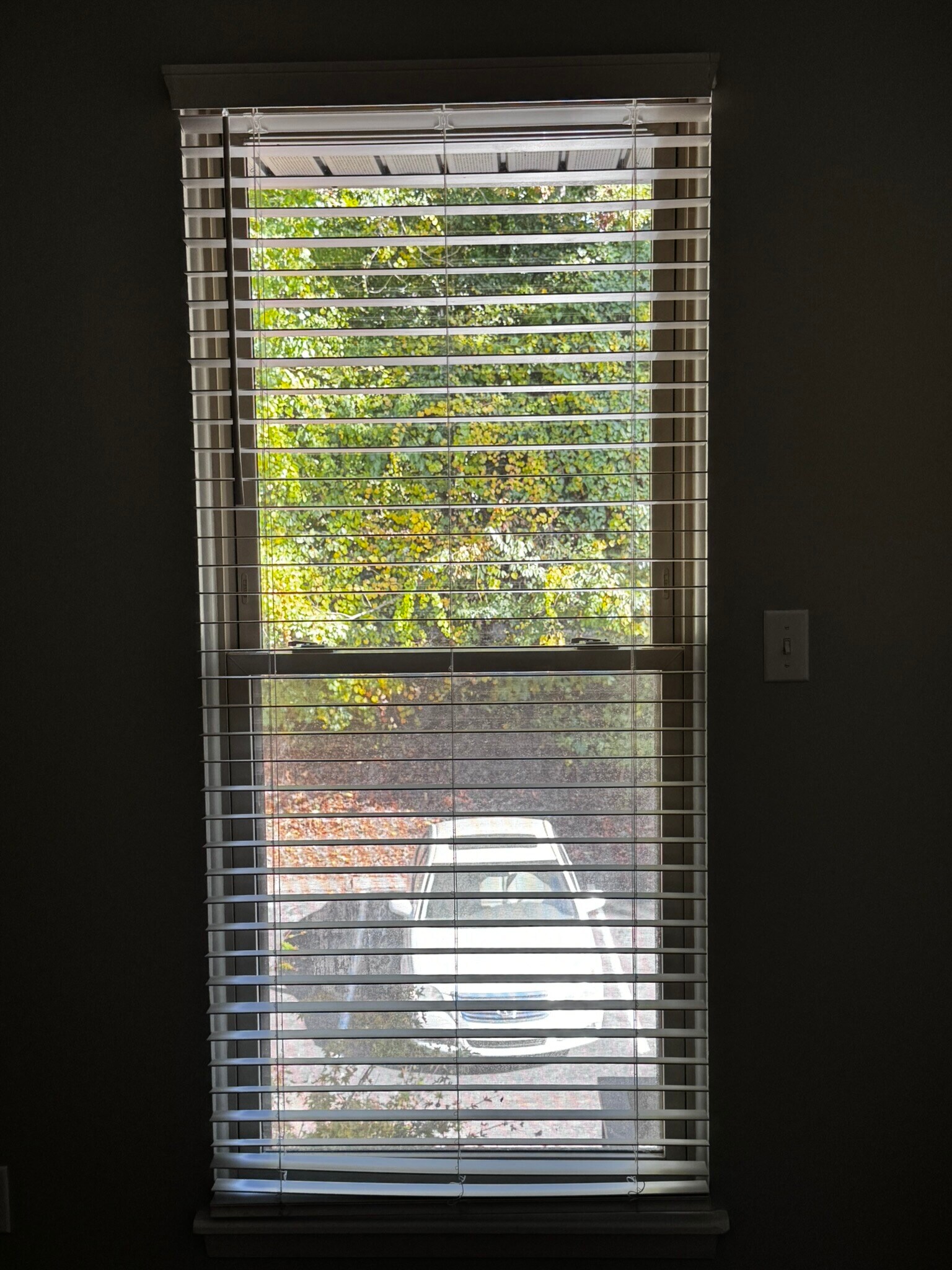 Guest window. - 122 Turnwood Ln