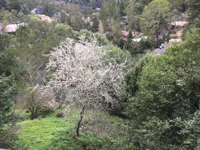 Building Photo - 6579 Exeter Dr