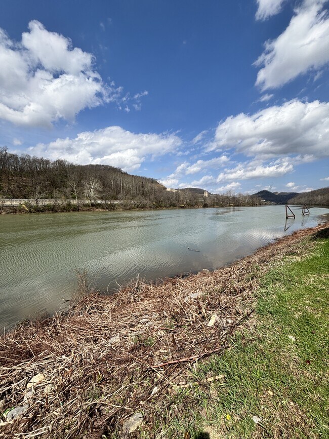 Building Photo - 1101 University Commons Dr