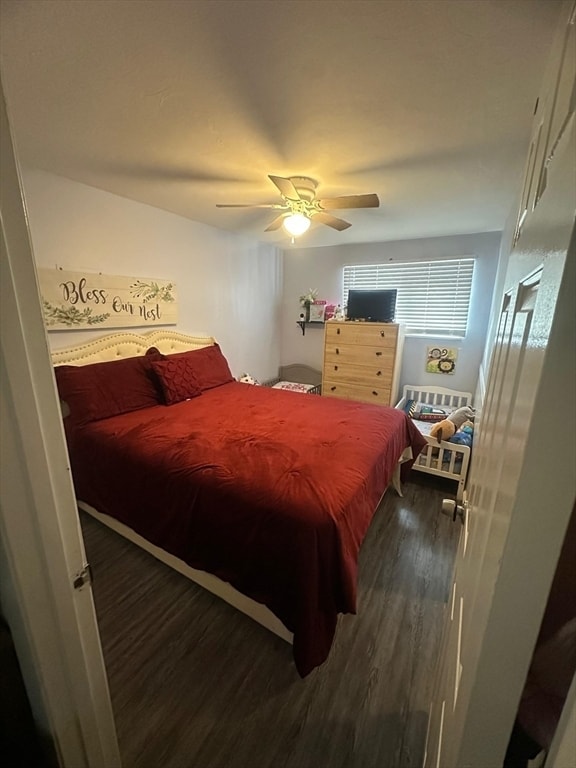 Building Photo - 50 Commonwealth Ave