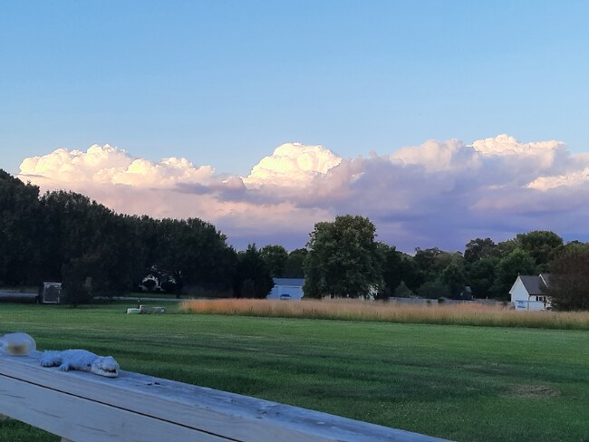 Building Photo - 5006 Willow Run Dr