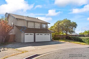 Building Photo - 3700 Hidden Springs Ct