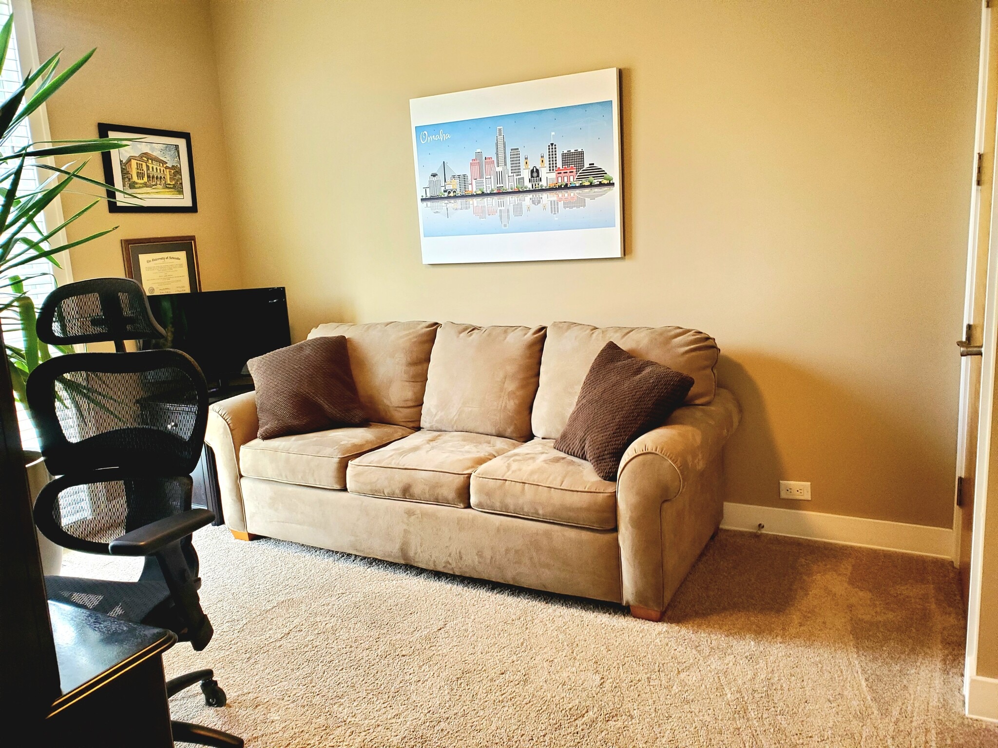 Pull Out Queen Couch - 1105 Mayberry Plaza