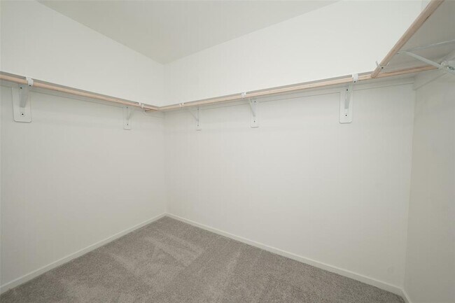 Building Photo - 6602 Tricolor Beech Ln
