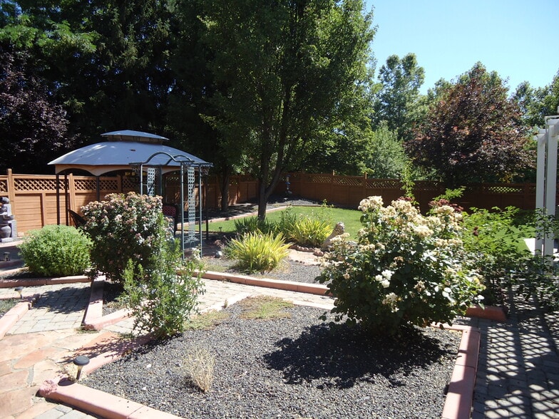 Backyard - 528 E Knoll Dr
