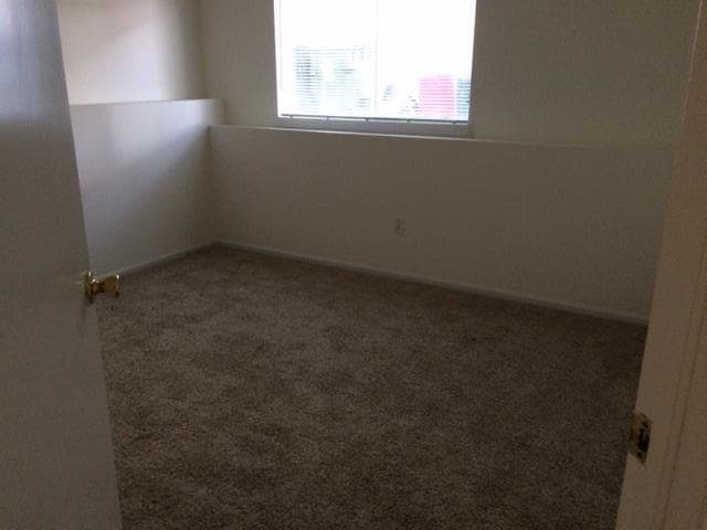 Building Photo - 3 Bedroom 2 bath in Highlands Ranch