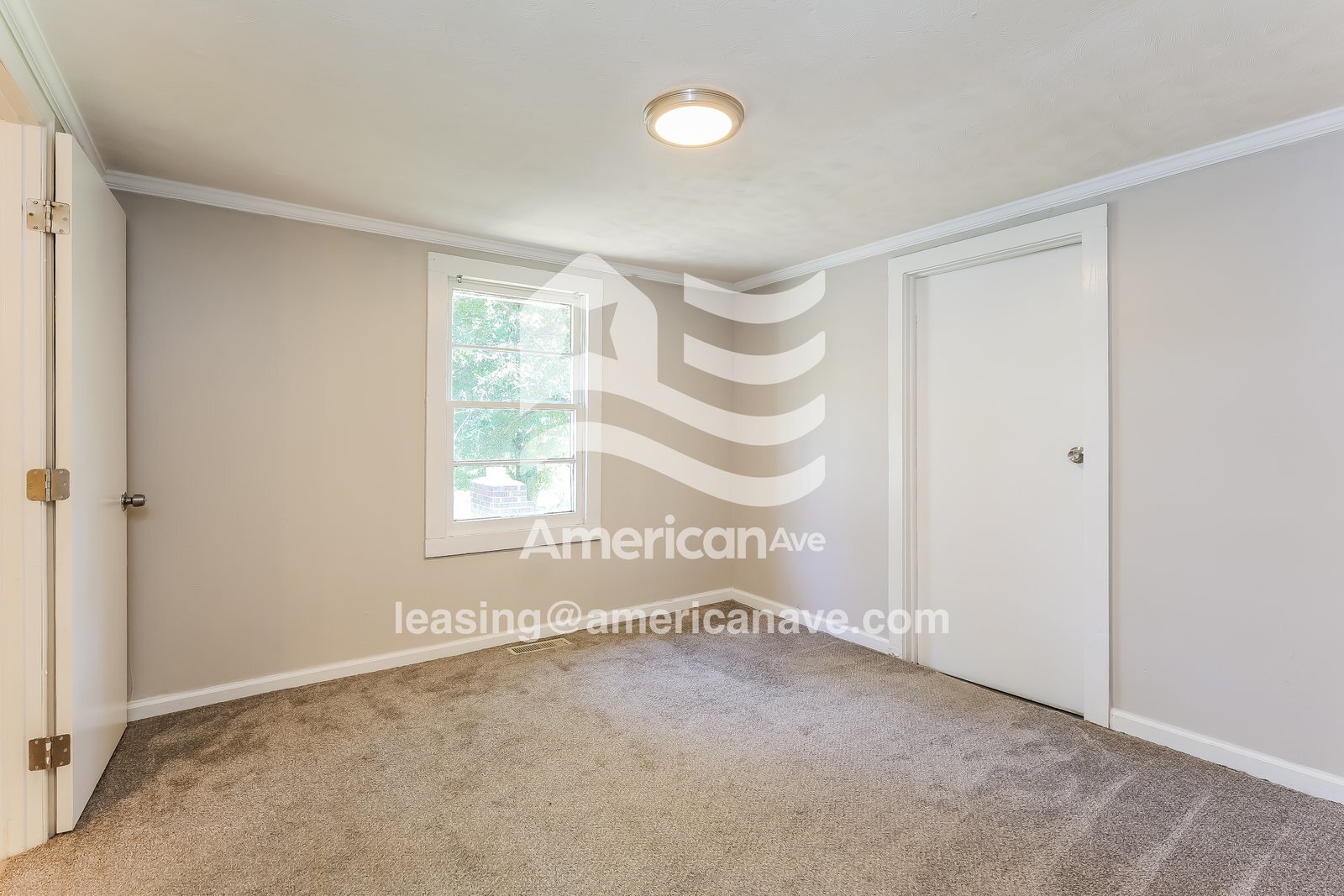 Building Photo - 17 Carter St