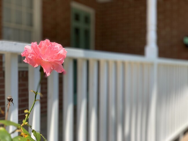 Building Photo - 3 Bedrooms 2 Full Bathrooms (one block fro...